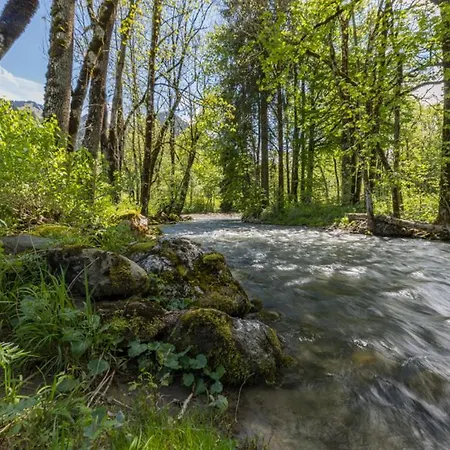 Les Erines * Châtel