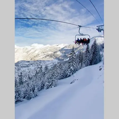 Les Erines * Chatel
