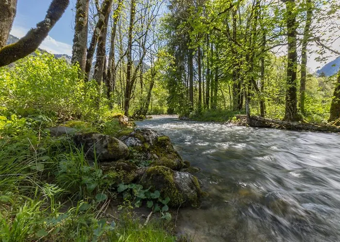 Les Erines * Châtel