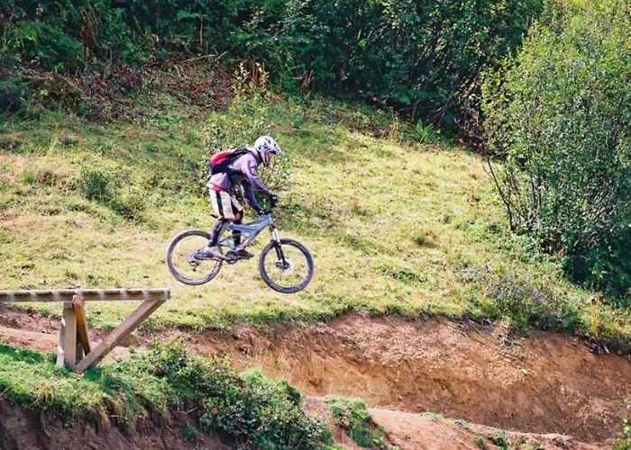 Les Erines Domek alpejski